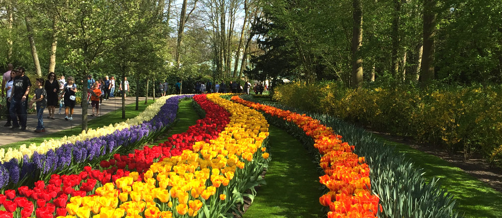 Guided tulip tours Keukenhof Flower Garden with Holland Tours